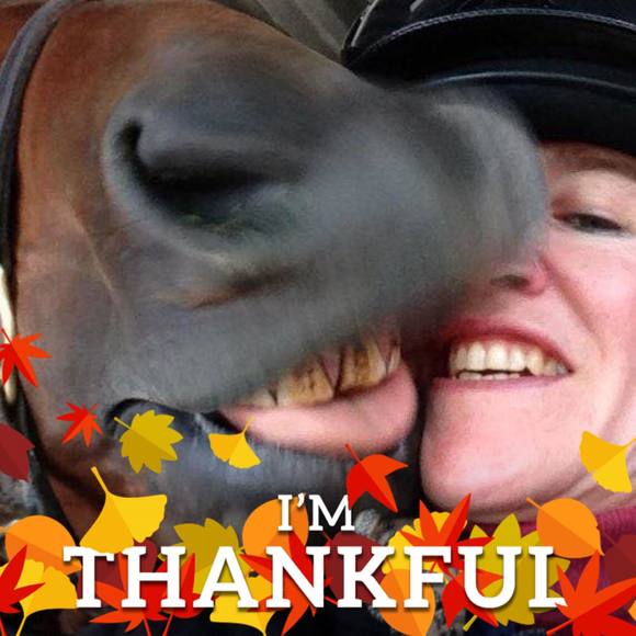 Meet your Posher, Vicky - Picture 1 of 1